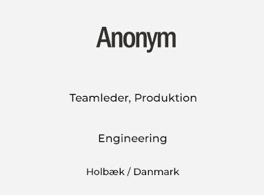 Teamleder, Produktion