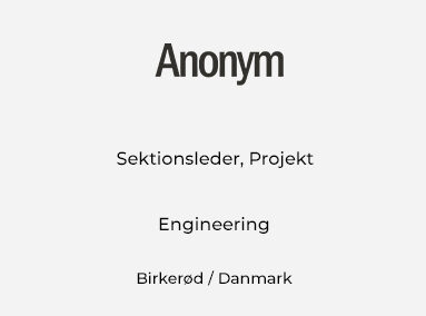 Sektionsleder, projekt